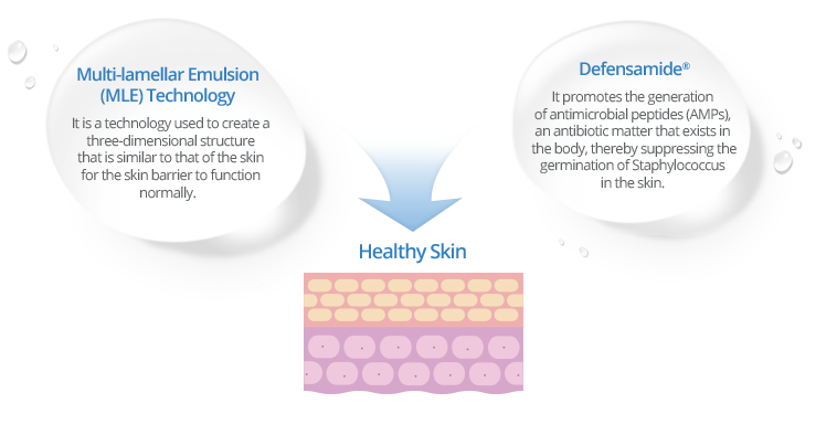 Multi-lamellar Emulsion(MLE) Technology:It is a technology used to create a three-dimensional structure that is similar to that of the skin for the skin barrier to function normally. / DefensamideTM:It promotes the generation of antimicrobial peptides (AMPs), an antibiotic matter that exists in the body, thereby suppressing the germination of Staphylococcus in the skin.